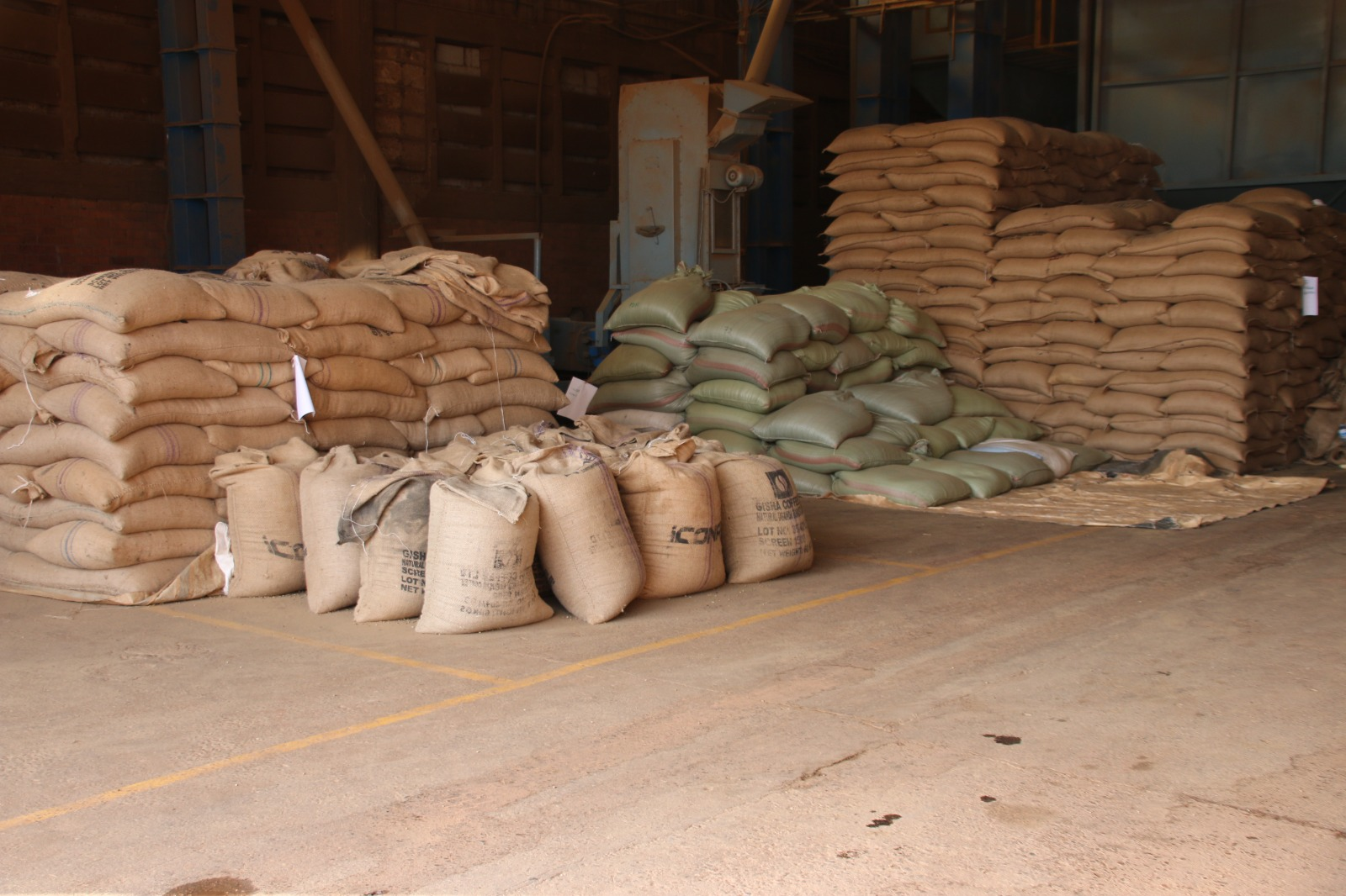 Coffee bags stacked in an export warehouse