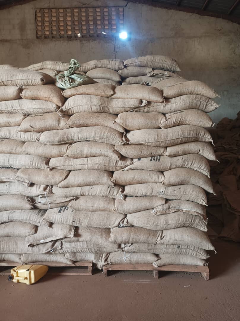 Export-grade Ugandan coffee stacked on pallets in Black Pearl Trading's warehouse