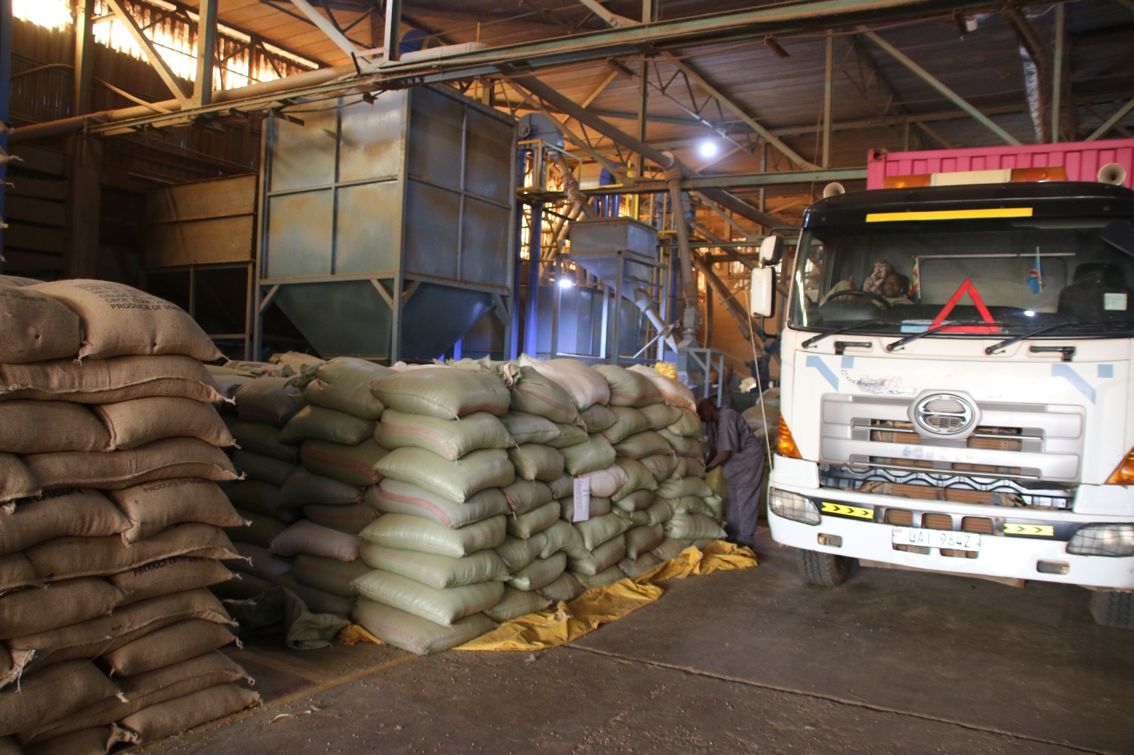 Bulk Coffee Supply